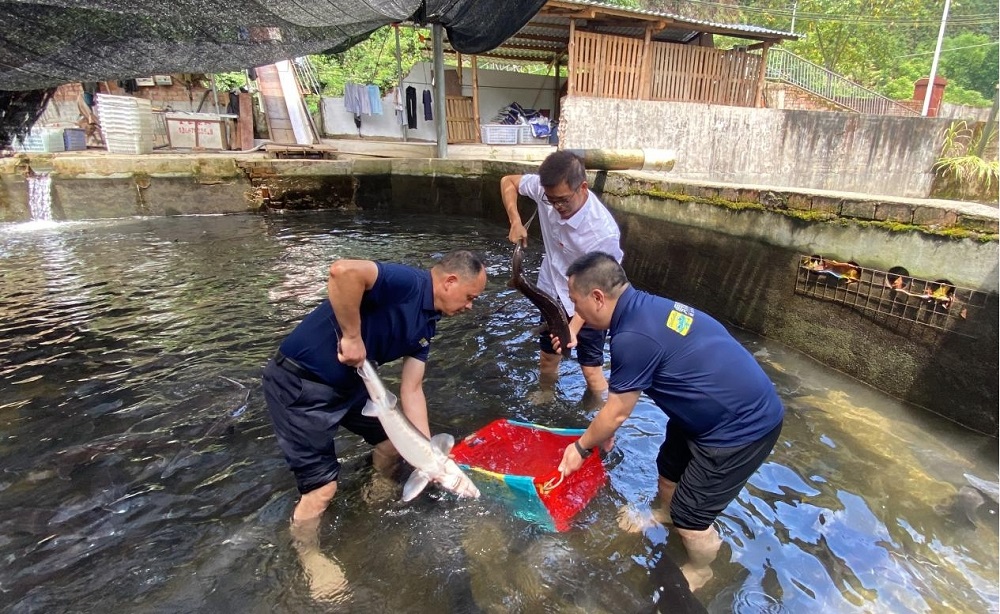 3868la银河总站(china)股份有限公司 - Make It Possible
